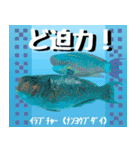 沖縄の食材大好き！沖縄行きたい。（個別スタンプ：31）