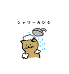 筋トレねこの日常（個別スタンプ：4）