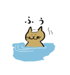 筋トレねこの日常（個別スタンプ：5）