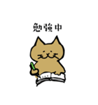 筋トレねこの日常（個別スタンプ：11）