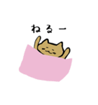 筋トレねこの日常（個別スタンプ：12）