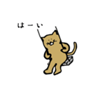 筋トレねこの日常（個別スタンプ：13）