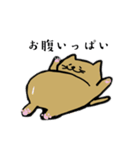 筋トレねこの日常（個別スタンプ：14）