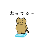 筋トレねこの日常（個別スタンプ：16）