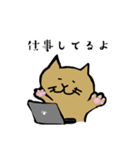 筋トレねこの日常（個別スタンプ：18）