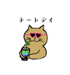 筋トレねこの日常（個別スタンプ：24）