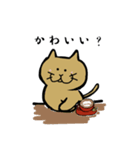 筋トレねこの日常（個別スタンプ：25）