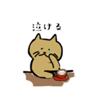 筋トレねこの日常（個別スタンプ：27）