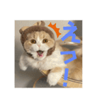 いとしのティア（個別スタンプ：7）