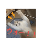 いとしのティア（個別スタンプ：8）