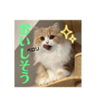 いとしのティア（個別スタンプ：9）