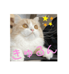 いとしのティア（個別スタンプ：10）