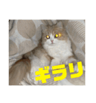 いとしのティア（個別スタンプ：13）