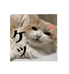 いとしのティア（個別スタンプ：16）