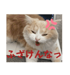 いとしのティア（個別スタンプ：18）