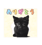 黒猫の子猫スタンプ（個別スタンプ：4）