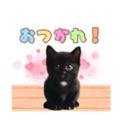 黒猫の子猫スタンプ（個別スタンプ：6）