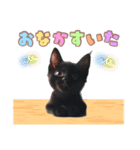 黒猫の子猫スタンプ（個別スタンプ：32）