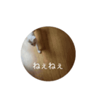 なっつこてつ（個別スタンプ：7）