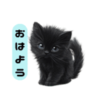 ふわふわ黒猫子猫のお返事（個別スタンプ：1）