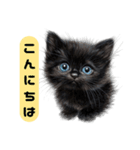 ふわふわ黒猫子猫のお返事（個別スタンプ：2）