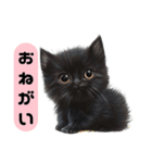 ふわふわ黒猫子猫のお返事（個別スタンプ：3）