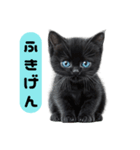 ふわふわ黒猫子猫のお返事（個別スタンプ：6）