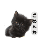 ふわふわ黒猫子猫のお返事（個別スタンプ：15）