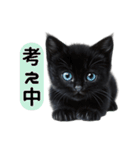 ふわふわ黒猫子猫のお返事（個別スタンプ：17）