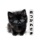 ふわふわ黒猫子猫のお返事（個別スタンプ：22）