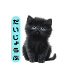 ふわふわ黒猫子猫のお返事（個別スタンプ：25）