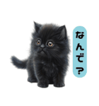 ふわふわ黒猫子猫のお返事（個別スタンプ：29）