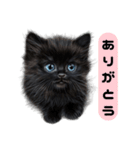 ふわふわ黒猫子猫のお返事（個別スタンプ：34）