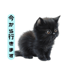 ふわふわ黒猫子猫のお返事（個別スタンプ：38）