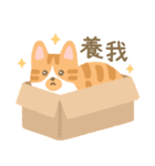 さけ ねこ 1（個別スタンプ：4）