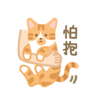 さけ ねこ 1（個別スタンプ：11）