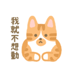 さけ ねこ 1（個別スタンプ：20）