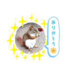 animalな日々（個別スタンプ：9）