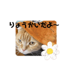 ttttてんちゃん（個別スタンプ：16）