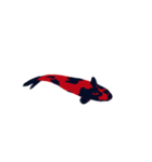 Nishikigoi  Japan（個別スタンプ：8）