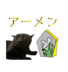 お酒とネコ好きな日常会話19（個別スタンプ：22）