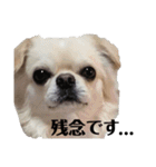 キキララルルユメスタンプ（個別スタンプ：3）