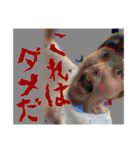 岡村は終夜（個別スタンプ：13）