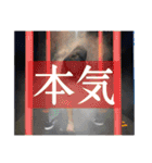 岡村は終夜（個別スタンプ：33）