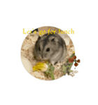 I am an optimistic hamster Suzy.（個別スタンプ：4）