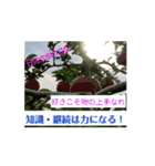 文化的観点からあなたの幸せを応援します♥（個別スタンプ：7）