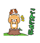 毎日使えるあいさつ色々 #柴犬クッキー4（個別スタンプ：5）