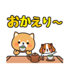 毎日使えるあいさつ色々 #柴犬クッキー4（個別スタンプ：19）