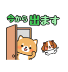 毎日使えるあいさつ色々 #柴犬クッキー4（個別スタンプ：21）