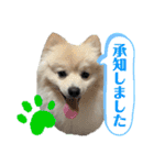 タロヨンVo.1（個別スタンプ：1）